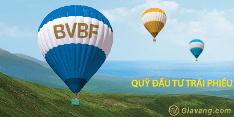 Cách đầu tư quỹ BVBF