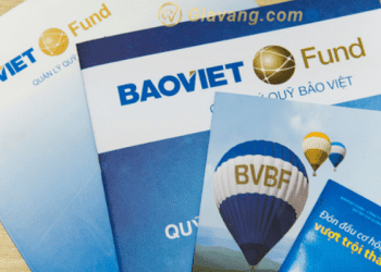 Quỹ BVBF là gì?