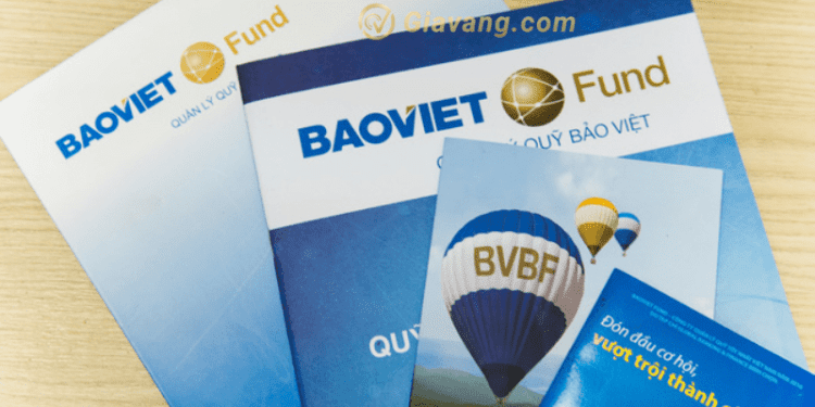 Quỹ BVBF là gì? Cách đầu tư vào quỹ BVBF hiệu quả 1 Quỹ BVBF là gì?