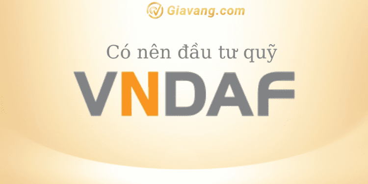 Quỹ VNDAF là gì? Có nên đầu tư vào Quỹ VNDAF? 1 Quỹ VNDAF là gì? Hướng dẫn đầu tư