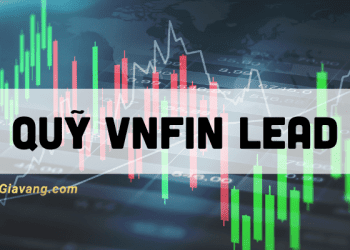 Quỹ VNFIN LEAD là gì