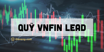 Quỹ VNFIN LEAD là gì? Có nên đầu tư vào quỹ VNFIN LEAD không? 4 Quỹ VNFIN LEAD là gì