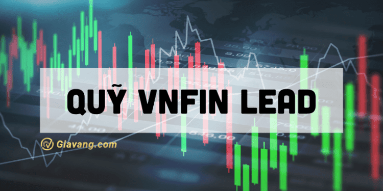 Quỹ VNFIN LEAD là gì? Có nên đầu tư vào quỹ VNFIN LEAD không? 1 Quỹ VNFIN LEAD là gì