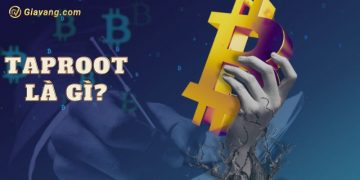 Taproot là gì? Bản nâng cấp công nghệ quan trọng của Bitcoin 9 Taproot là gì? Bản nâng cấp công nghệ quan trọng của Bitcoin