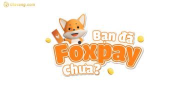 Ví điện tử Foxpay là gì? Ví điện tử Foxpay có an toàn không?  6 Ví điện tử Foxpay là gì? Ví điện tử Foxpay có an toàn không?