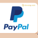 Kiếm tiền PayPal là gì? Các cách kiếm tiền PayPal đơn giản 6 Kiếm tiền PayPal hiệu quả