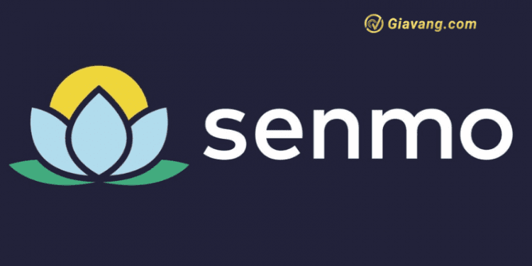 Senmo là gì? Vay tiền Senmo có đáng tin cậy không?