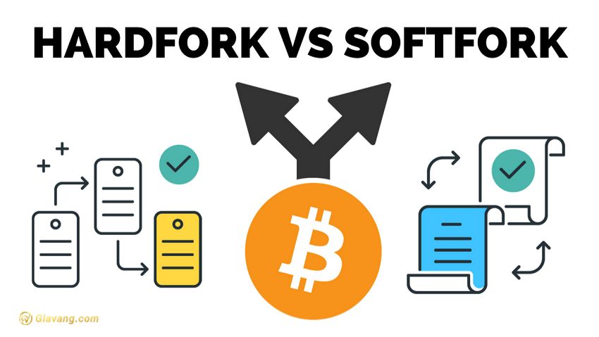 Soft Fork và Hard Fork là gì? Phân biệt Soft Fork và Hard Fork