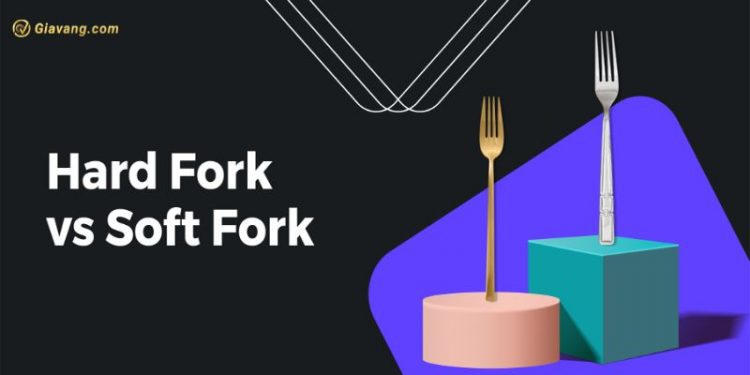Soft Fork và Hard Fork là gì? Phân biệt Soft Fork và Hard Fork 1 Soft Fork và Hard Fork là gì? Phân biệt Soft Fork và Hard Fork