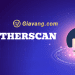 Etherscan là gì? Bỏ túi sử dụng hiệu quả Etherscan