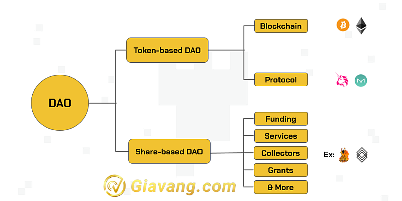 DAO hoạt động theo 2 loại là Token-based DAO và Share-based DAO