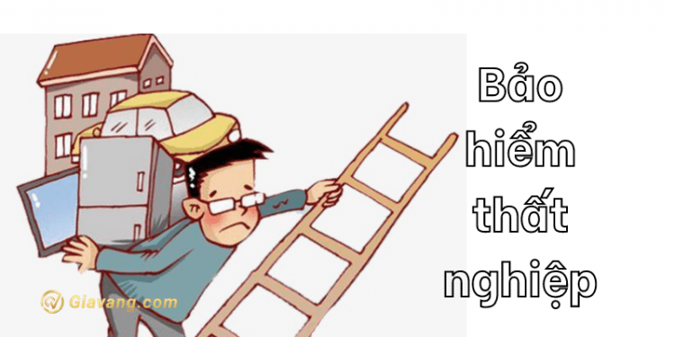 Bảo hiểm thất nghiệp và những điều bạn cần biết 