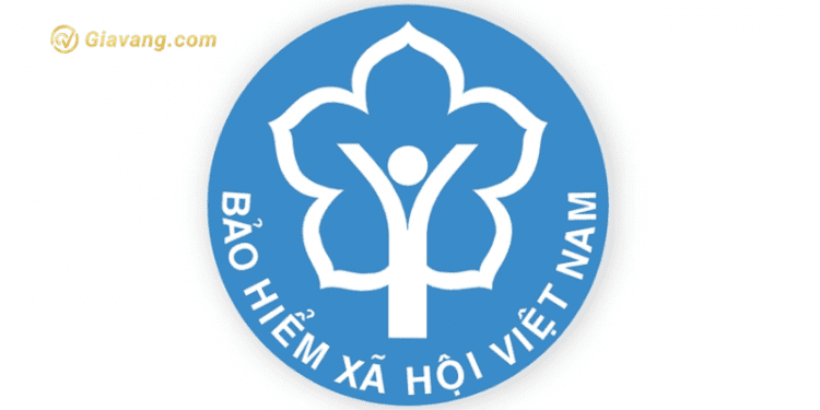 Bảo hiểm xã hội là gì? Gồm những loại nào? Cách tra cứu BHXH