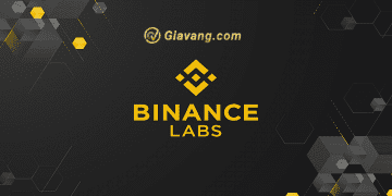 Binance Labs là gì? Cách đầu tư theo Binance Labs 2 Binance Labs là gì? Cách đầu tư theo Binance Labs