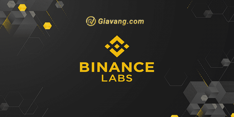 Binance Labs là gì? Cách đầu tư theo Binance Labs