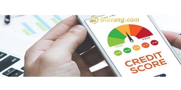 Điểm tín dụng là gì? Tra cứu điểm tín dụng nhanh chóng