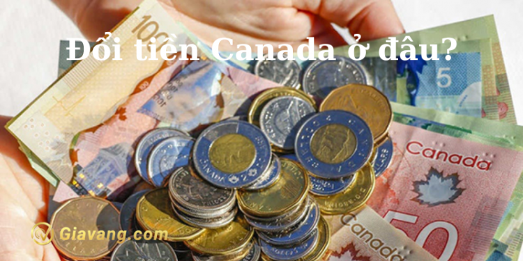 100 Canada đổi ra tiền Việt được bao nhiêu? Đổi tiền Canada ở đâu tại Việt Nam? 1 100 Canada đổi ra tiền Việt được bao nhiêu? Đổi tiền Canada ở đâu tại Việt Nam?