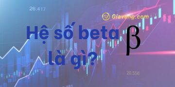 Hệ số beta là gì? Ý nghĩa và cách tính hệ số rủi ro trong chứng khoán 2 Hệ số beta là gì? Ý nghĩa và cách tính hệ số rủi ro trong chứng khoán