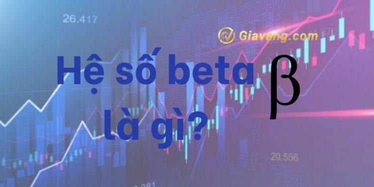 Hệ số beta là gì? Ý nghĩa và cách tính hệ số rủi ro trong chứng khoán 1 Hệ số beta là gì? Ý nghĩa và cách tính hệ số rủi ro trong chứng khoán