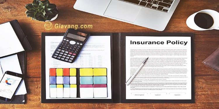 Bảo hiểm sinh kỳ là gì? 6 điều không thể bỏ qua trước khi mua bảo hiểm này 1 Bảo hiểm sinh kỳ là gì? 6 điều không thể bỏ qua trước khi mua bảo hiểm này