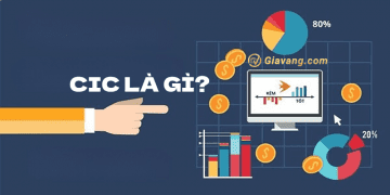 CIC là gì? Nợ xấu CIC là gì? Cách check CIC miễn phí 8 CIC là gì? Nợ xấu CIC là gì? Cách check CIC miễn phí
