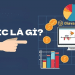 CIC là gì? Nợ xấu CIC là gì? Cách check CIC miễn phí