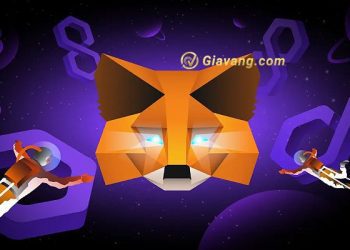 Cách thêm mạng Polygon vào Metamask đơn giản