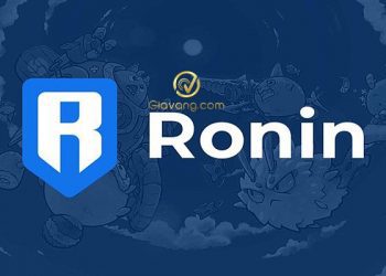 Ronin Wallet là gì? Cách tạo ví Ronin dễ hiểu
