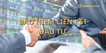 Bảo hiểm liên kết đầu tư là gì? Có nên mua bảo hiểm đầu tư không?