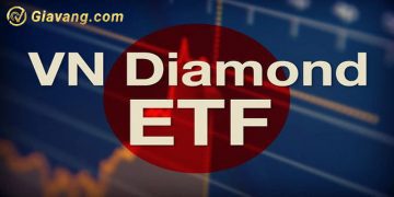 Quỹ Diamond là gì? Có nên đầu tư vào Quỹ Diamond? 2 Quỹ đầu tư Diamond là gì?