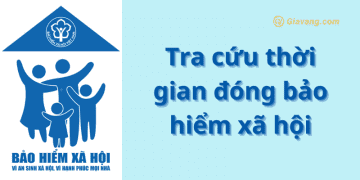 Cách tra cứu thời gian đóng bảo hiểm xã hội