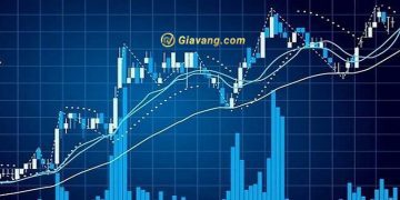 Đường MA20 là gì? Xem đường MA20 ở đâu? 4 Đường MA20 là gì? Xem đường MA20 ở đâu?