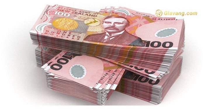 Tỷ giá New Zealand hôm nay. Đổi tiền New Zealand ở đâu? 1 Đổi tiền New Zealand