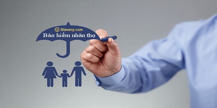 Các quyền lợi bảo hiểm nhân thọ mà người tham gia phải biết 1 Các quyền lợi bảo hiểm nhân thọ không được bỏ qua