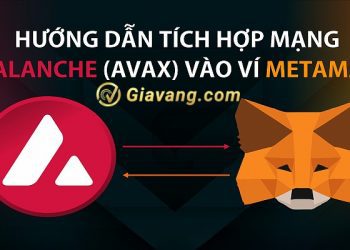 Thêm mạng AVAX vào Metamask