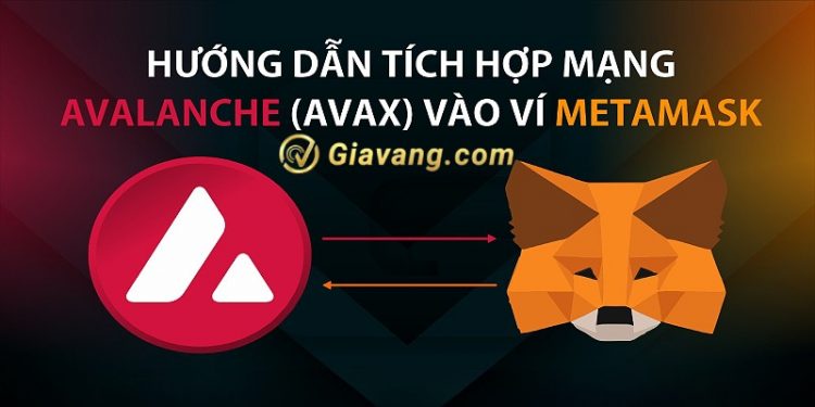 Hướng dẫn thêm mạng AVAX vào Metamask nhanh chóng 1 Thêm mạng AVAX vào Metamask