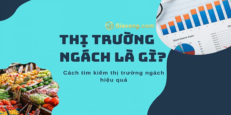 Thị trường ngách là gì? 5 bước đơn giản xác định thị trường ngách