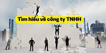 Công ty trách nhiệm hữu hạn là gì? Các đặc trưng cơ bản của công ty TNHH
