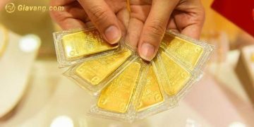 Giá vàng Bình Định hôm nay bao nhiêu một chỉ? 6 Giá vàng Bình Định hôm nay bao nhiêu một chỉ?