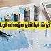 Lợi nhuận giữ lại là gì? Công thức tính tỷ lệ lợi nhuận giữ lại 7 Lợi nhuận giữ lại là gì? Công thức tính tỷ lệ lợi nhuận giữ lại