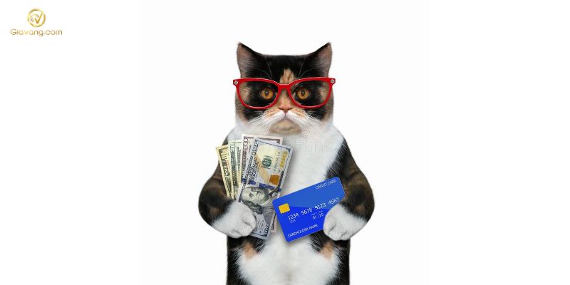 Lãi suất khoản vay Cat Credit 