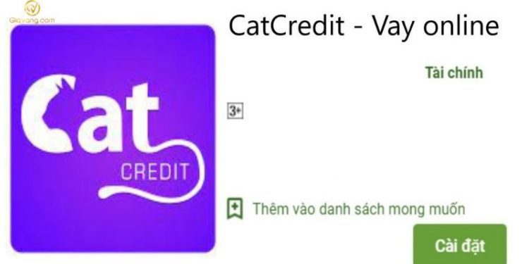 Cat Credit là gì?