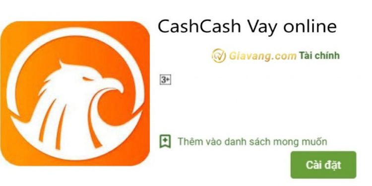 Thông tin chi tiết khoản vay Cashcash