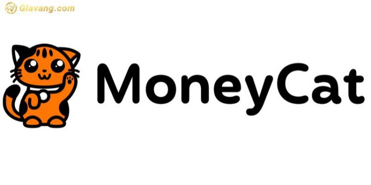 Moneycat cho vay nặng lãi có đúng hay không? 1 Moneycat là gì?