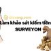 Làm khảo sát kiếm tiền Surveyon 1 bài bao nhiêu?