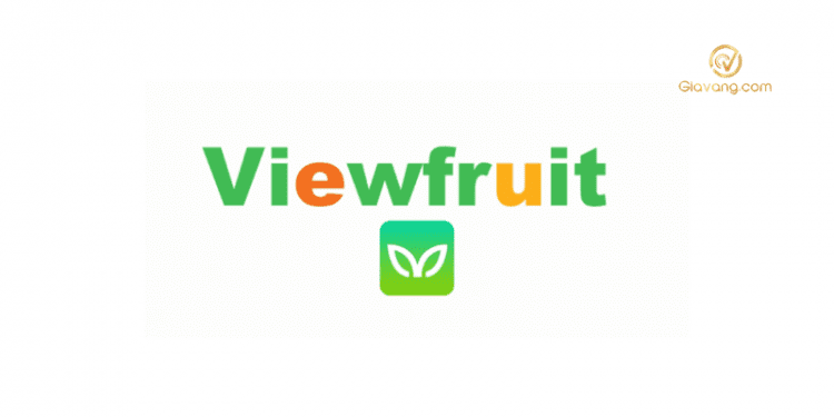 Khảo sát kiếm tiền online ViewFruit có lừa đảo không? 1 ViewFruit