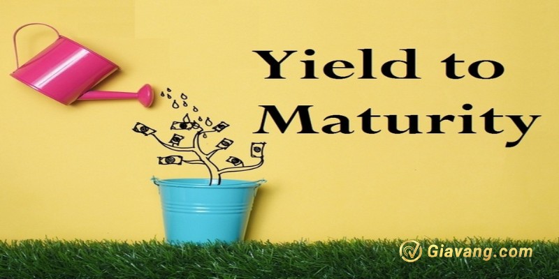 Lợi suất đáo hạn (Yield to maturity)