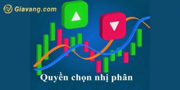 Quyền chọn nhị phân (BO-Đầu tư BO) là gì? Thông tin chi tiết 6 Quyền chọn nhị phân (BO-Đầu tư BO) là gì? Thông tin chi tiết