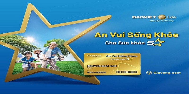 Các sản phẩm, dịch vụ ngân hàng Bảo Việt cung cấp