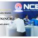 Lãi suất ngân hàng NCB mới nhất. Thông tin ngân hàng Quốc Dân lừa đảo đúng không? 7 Lãi suất ngân hàng NCB mới nhất. Thông tin ngân hàng Quốc Dân lừa đảo đúng không?
